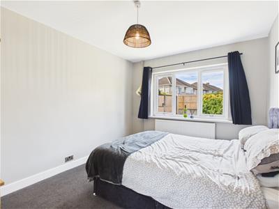 Picture 13